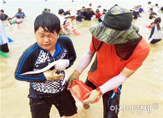 함평군 돌머리해수욕장 뱀장어잡기 체험행사 인기