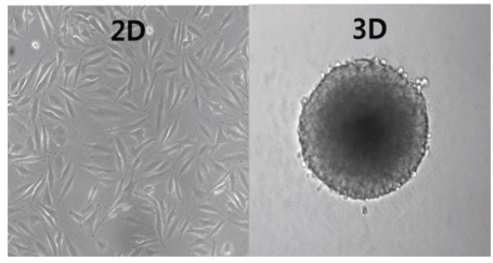 韓 3차원 세포 약물검색 플랫폼…프랑스에 수출