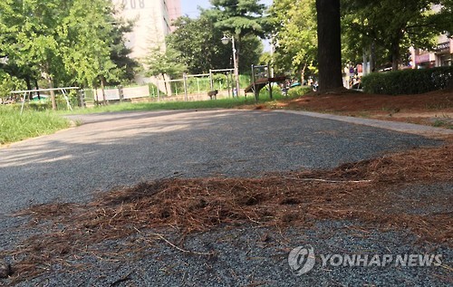 광주 공원서 운동하던 20대女, 심야 ‘묻지마’ 칼부림에…