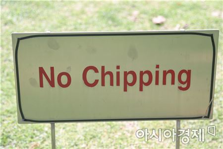 칩핑금지는 'No Chiping'이 아니라 'No Chipping'이다.