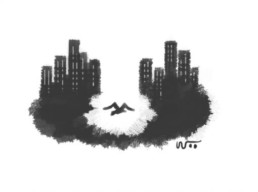 [오후 한詩]크레바스/박후기