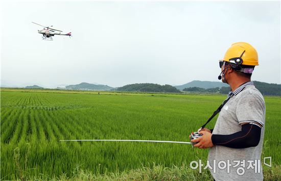 해남군 화산면 율동리 김명훈씨가 무인헬기를 이용해 벼 재배 논에 친환경 약제를 살포하고 있다. 
