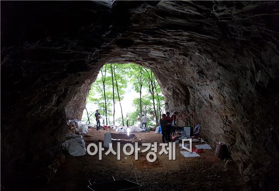 정선 매둔동굴서 선사시대 유물 무더기 출토