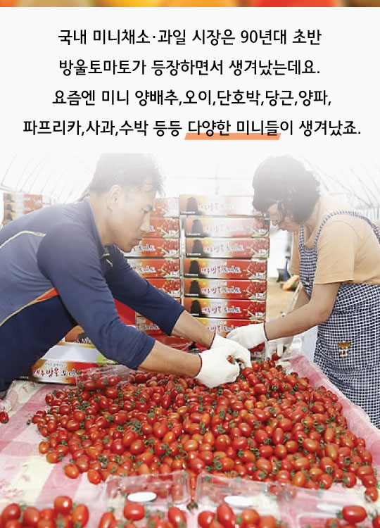 [카드뉴스]'앙증보스' 미니채소 열풍…애플수박·방울참외 맛볼까