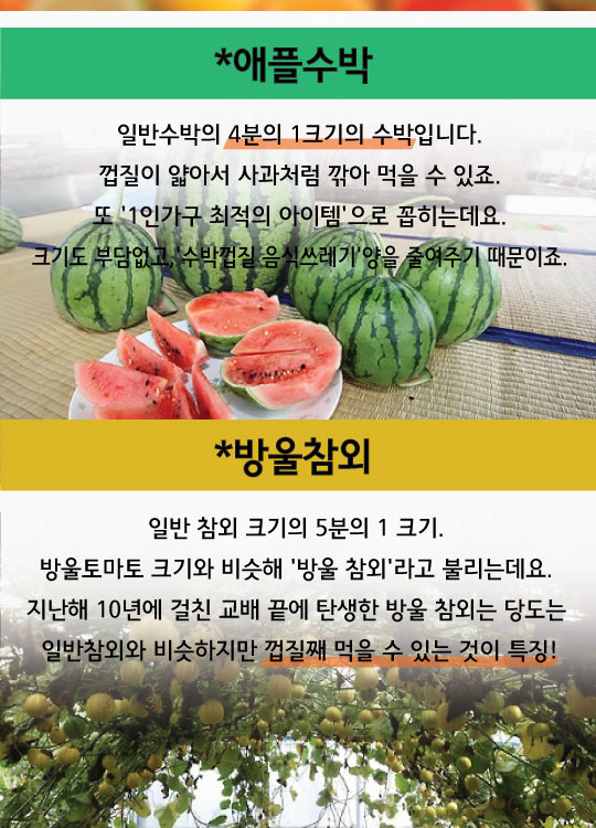 [카드뉴스]'앙증보스' 미니채소 열풍…애플수박·방울참외 맛볼까