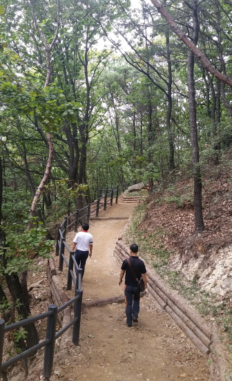 강서구 봉제산 둘레길 7km 완공 