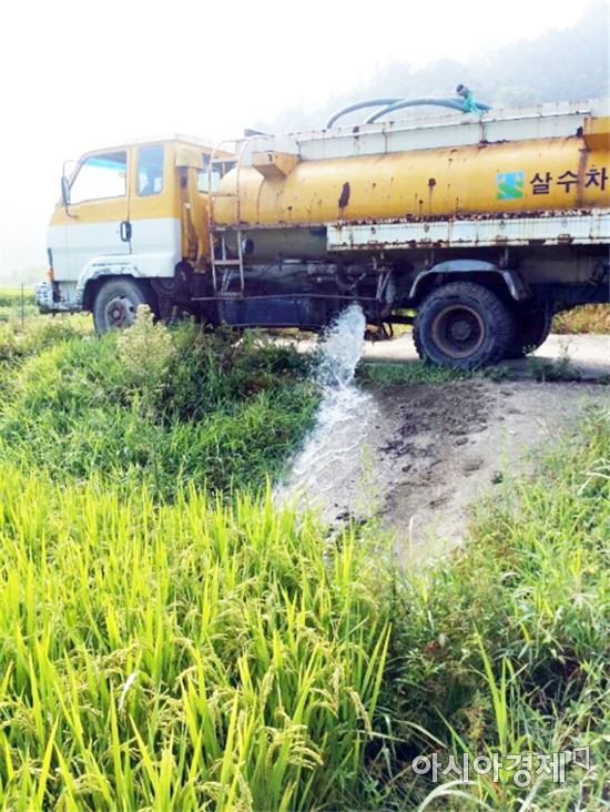 한국농어촌공사 곡성구례지사 농업용수확보에 총력