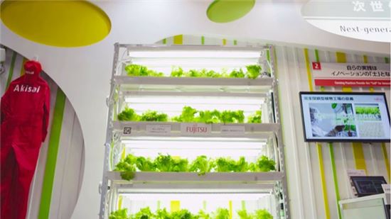 [뉴스의 이면]도요타·파나소닉도 진출한 日 스마트팜 vs 개발성역에 묶인 韓