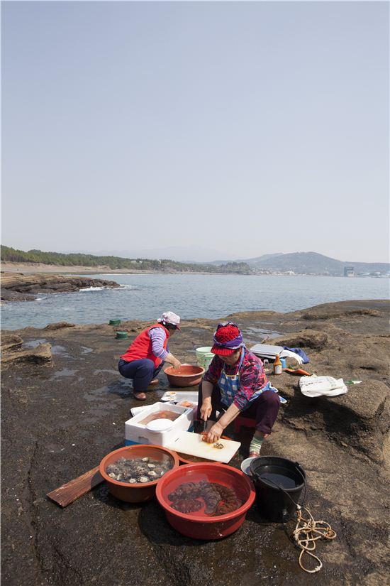 [때때로 여행가의 밥] 제주 용머리해안과 해녀 노점