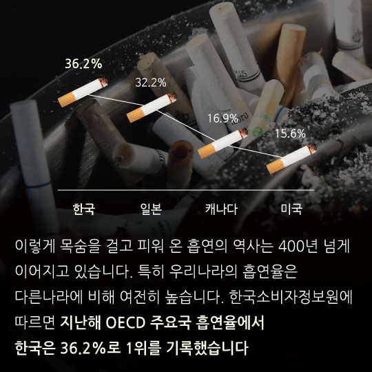 [카드뉴스]400년전엔 흡연자 3만명 학살했다