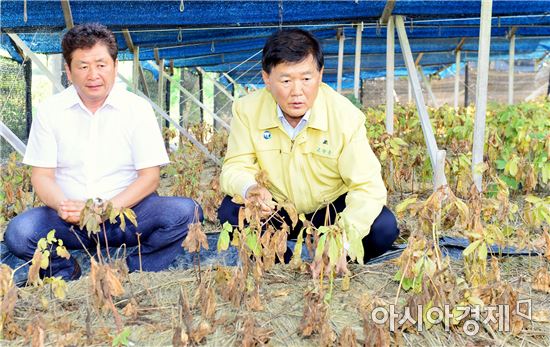 박우정 고창군수, 가뭄대비 현장방문 가뭄피해 농가 방문 격려