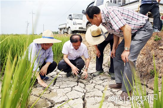 양재승 해남군수 권한대행과 김주환 해남군의회 의장 및 군의원, 관계공무원들이 관내 가뭄 우려 지역에 대한 현장 점검을 실시하고 있다. 