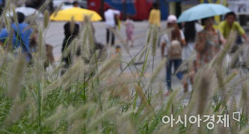 [포토]비 내리는 서울 