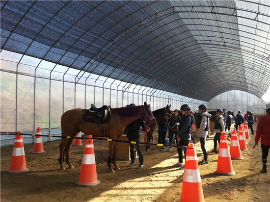 경기도 '힐링승마'로 청소년 게임중독 치유한다
