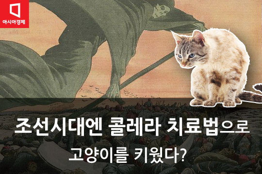 [카드뉴스]조선시대 콜레라 치료용으로 고양이 키웠다