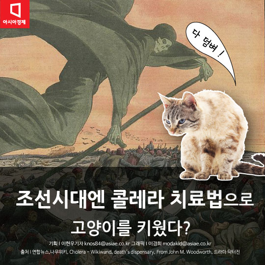 [카드뉴스]조선시대 콜레라 치료용으로 고양이 키웠다