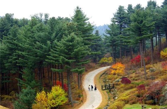 경기도 취약계층 '산림치유프로그램' 가동한다