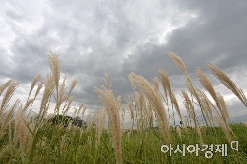 [포토]종잡을 수 없는 가을 날씨