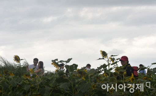 [날씨] 오늘(6일) 전국 맑아…서울 아침 21도, 어제와 비슷