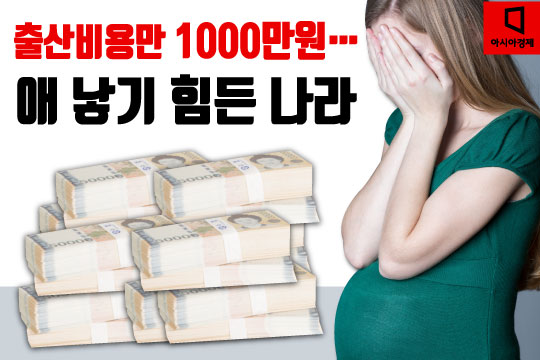 [카드뉴스]출산 위한 경비 1000만원…대한민국, 애 낳으라굽쇼?