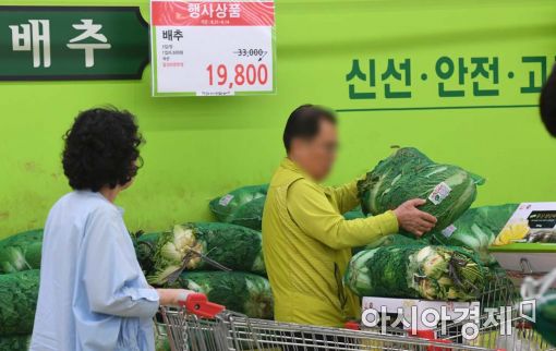 [포토]폭염에 배춧값 폭등 