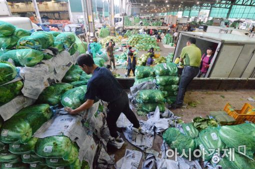 지난 9월7일 서울 송파구 가락시장에서 운송업자들이 경매에 들어갈 배추들을 실어나르고 있다.(아시아경제 DB) 