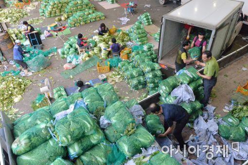 [포토]배추 옮기는 가락시장 상인들