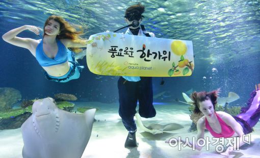 [포토]수중에서 전하는 한가위 인사