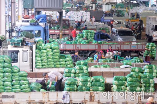 [포토]금배추 옮기는 가락시장 상인들