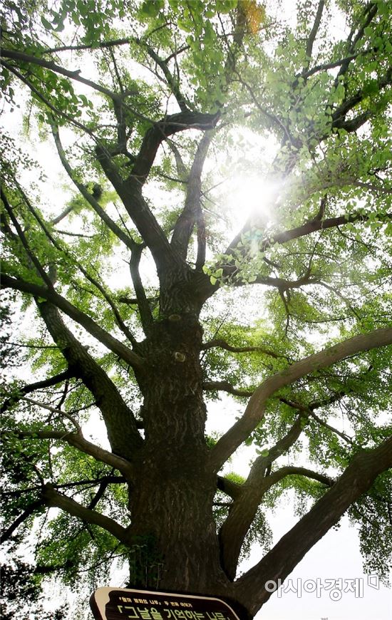 ‘월미공원 흙’ 미 참전용사 기념공원 전달