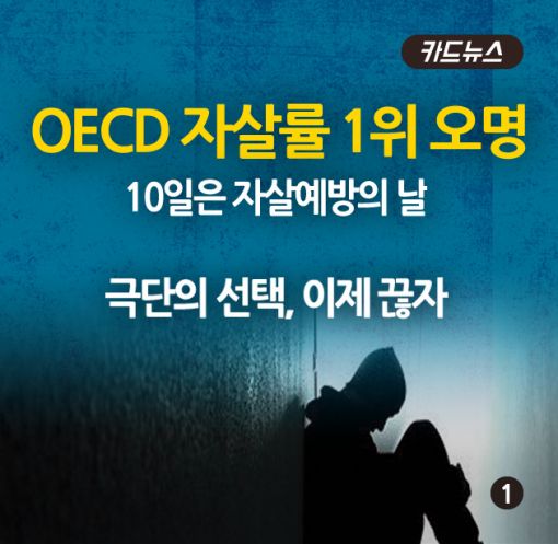 [카드뉴스] OECD 자살률 1위 오명