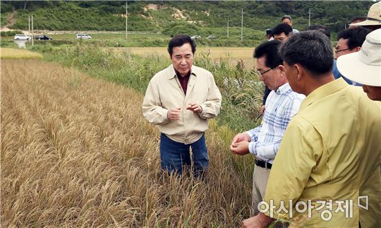 이낙연 전남도지사,“가뭄피해 복구와 소득보전에 최선”