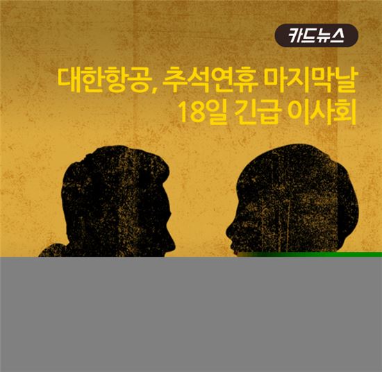 [카드뉴스]'강행이냐 대안이냐' 14시간 대한항공 이사회 진통   
