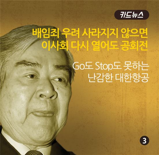[카드뉴스]'강행이냐 대안이냐' 14시간 대한항공 이사회 진통   