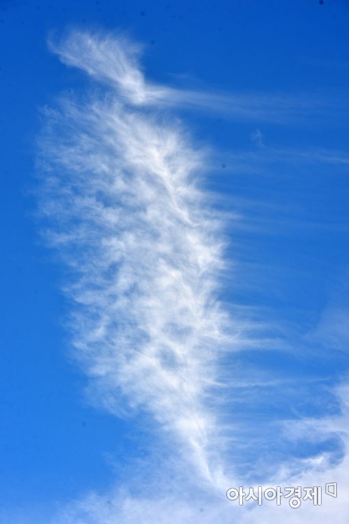 [포토]깃털 구름