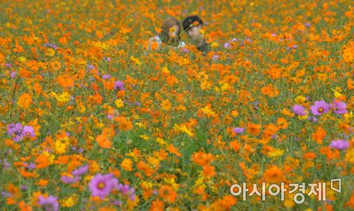 [오늘 날씨]‘추분’인 22일, 전국에 구름 많고 선선…낮과 밤 기온차 10도 안팎