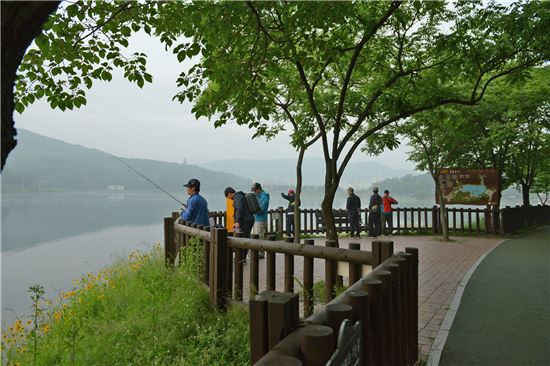 성남시 분당 율동공원 호수에서 배스 낚시대회가 열리고 있다. 