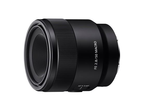 소니, "풀프레임 미러리스 매크로 렌즈 예판, 61만9000원"