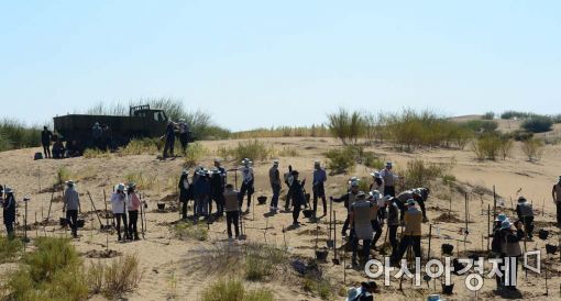 [포토]사막에 숲을 키워요 