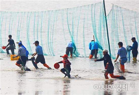 환상적인 노을을 배경으로 펼쳐지는 여자만 갯벌 노을 체험행사가 내달 1일과 2일 대한민국 대표 생태관광지인 전남 여수시 소라면 해넘이길(사곡리 장척마을) 일원에서 개최된다.