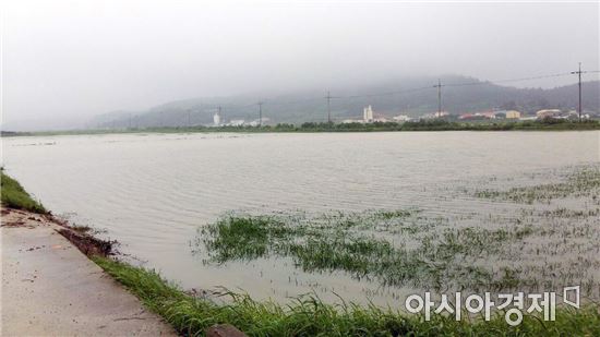 완도군, 노화 구석지구 배수개선사업 본격 추진