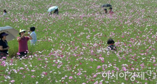 [포토]가을을 즐기는 사람들