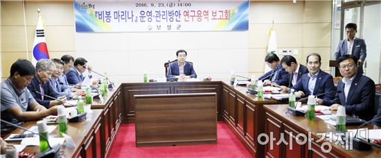 보성군,득량만권  '비봉마리나항' 해양레저 메카 육성