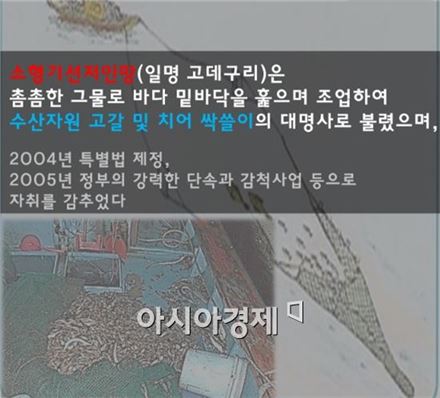 "참치·산호초도 멸종위기" 서울서 해결방안 모색한다