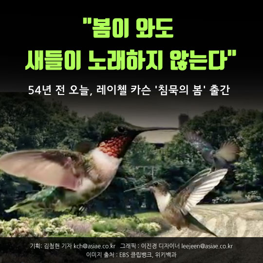 [카드뉴스]봄이 와도 새들이 노래하지 않는다 'DDT묵시록'