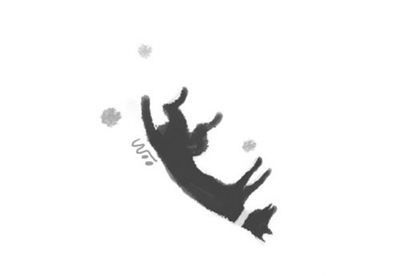 [오후 한詩]모란/최원