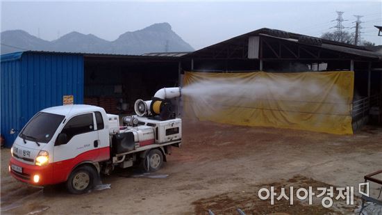 진도군, 구제역 차단 방역으로 청정화에 행정력 집중