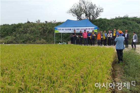 나주시, 벼 무논직파 재배 확대 예산 지원