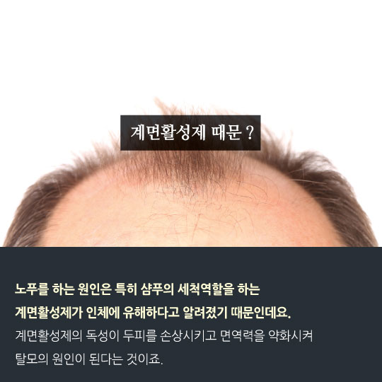 [카드뉴스]'노푸'족도 빠지기는 빠지더라