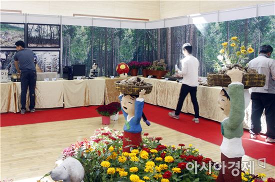 억새제와 표고버섯축제... 볼거리 풍성한 주말 ‘장흥’